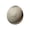 J006- Style F, variant on Giant Glitter Dumpling, Giant Dumpling Squishy, Mega Rainbow Dumplings, Large Stress Relief Sensory Ball for Adults-1