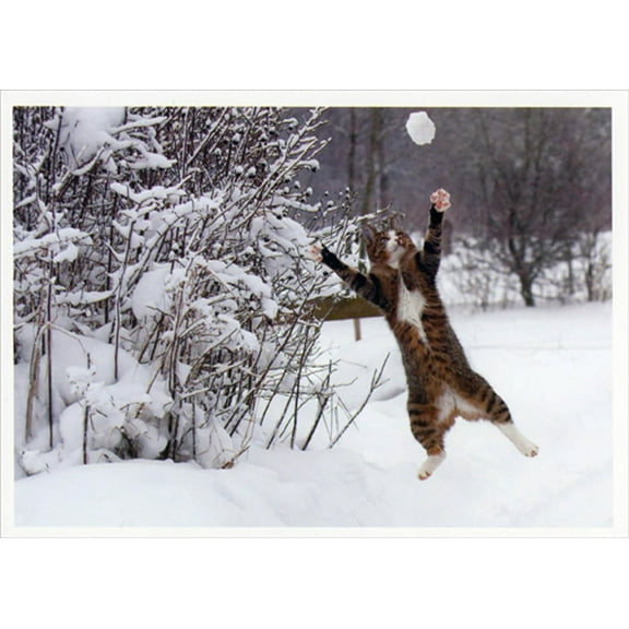 Palm Press Cat Jumping Toward Snow Ball Funny Box of 10 Christmas Cards