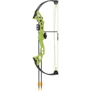 Bear Archery Brave Youth Bow Includes Whisker Biscuit, Arrows, Armguard, and Arrow Quiver Recommended for Ages 8 and Up Green