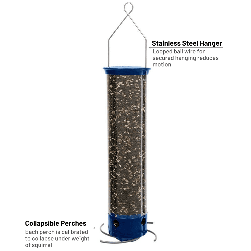 Droll Yankees Squirrel Proof Bird Feeders for Outdoors - Whipper, Collapsible Perches, 5-Pound Seed Capacity, Blue