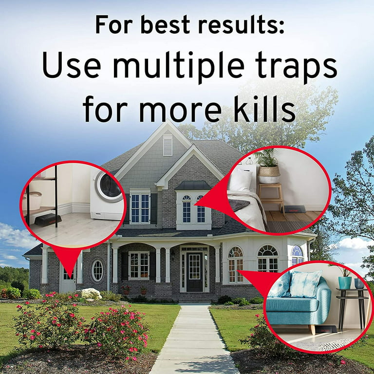  Victor M250S Indoor Humane Electronic Mouse Trap - No Touch,  No See Electric Instant Kill Mouse Trap - 4 Traps : Patio, Lawn & Garden