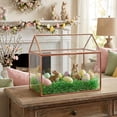 thumbnail image 3 of Centro de mesa Glass House D'Eco Terrarium 25 x 15 x 20 cm, 3 of 9