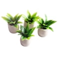 thumbnail image 1 of Planta miniatura Sunnimix 1:12 Cycas Verde, 1 of 6