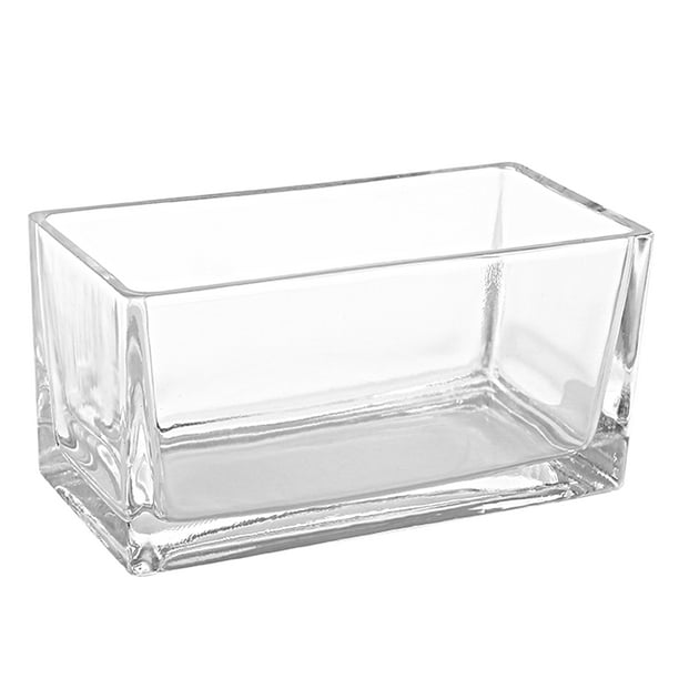 7.5Inch Modern Rectangular Clear Glass Trough Vase, Succulent Planter