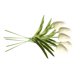 thumbnail image 3 of Mini flor artificial Oficina en casa Decoración floral Banquete de boda Decorativo PU Flor falsa, Blanco 5 piezas sidaley ZHF0582-01B, 3 of 6