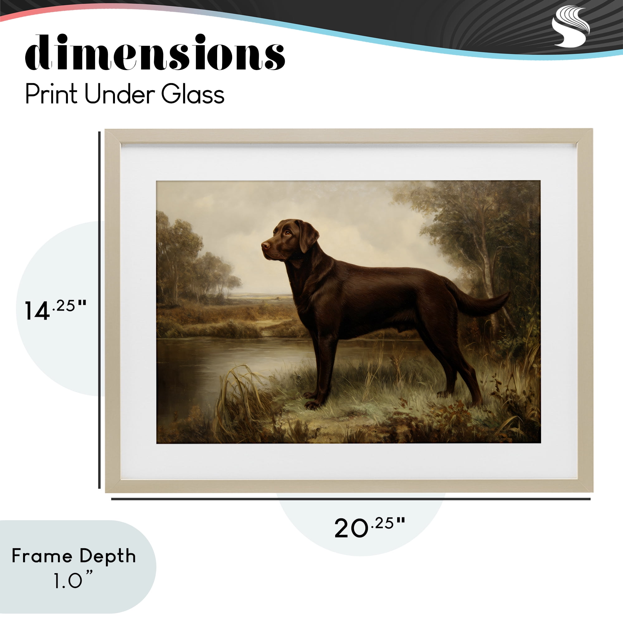 Stupell Industries Brown Lab By The River Birch Framed Print Under Glass, design by Petal Prints Design