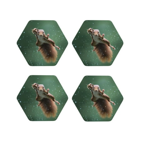 

Junzan Squirrel Print Coasters for Drinks - Leather Coasters Set of 4 for Coffee Table for Housewarming/Kitchen/Bar/Decor-Hexagon