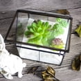thumbnail image 5 of Ferrisland Glass Plant Terrarium Container Wardian Case Indoor Small Succulent Terrarium Planter w/Door for Tabletop Decor DIY - 4.9"x4.3"x4.3", 5 of 5