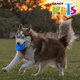 thumbnail image 5 of Fancy Pets Juguete Dona Sound Tamaño Grande para Perro Fancy Pets FL9429, 5 of 5