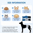 thumbnail image 2 of Kuoser Reusable Dog Diaper, Soft Belly Band with Abdominal Pocket for Male and Female Dogs, Washable Period Diaper for dog, 1 Pack, Blue, M, 2 of 8
