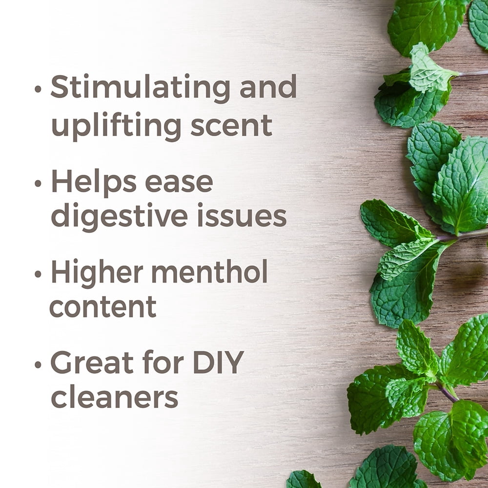 Plant Therapy Essential Oils Peppermint Western 30 mL (1 oz) 100% Pure