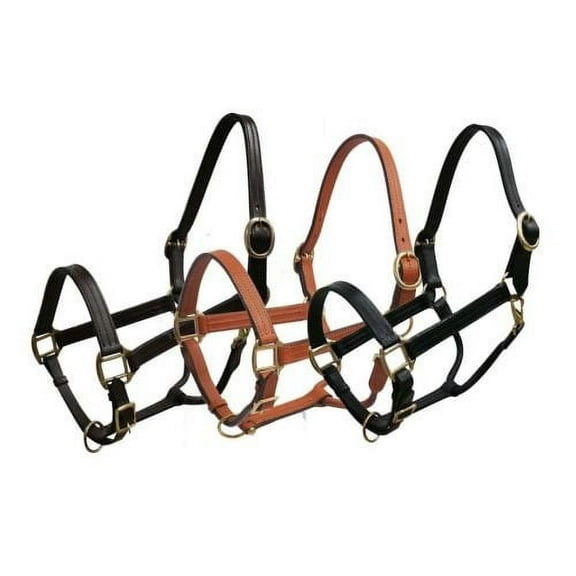 Leather Horse Size Halter w/ Brass Hardware