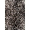 thumbnail image 1 of Chandra Naya Shag Indoor Area Rug, 1 of 11