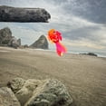 thumbnail image 2 of In the Breeze 5220 — 15-inch Hot Damsel Fish Windsock — Colorful Orange and Red Fishsock Hanging Garden Décor with Detailed Printed Graphics, 2 of 6