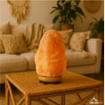 thumbnail image 3 of Himalayan Shop Natural Pink Real Rock Salt Lamp, Small, 4-5.5 lbs, 3 of 9