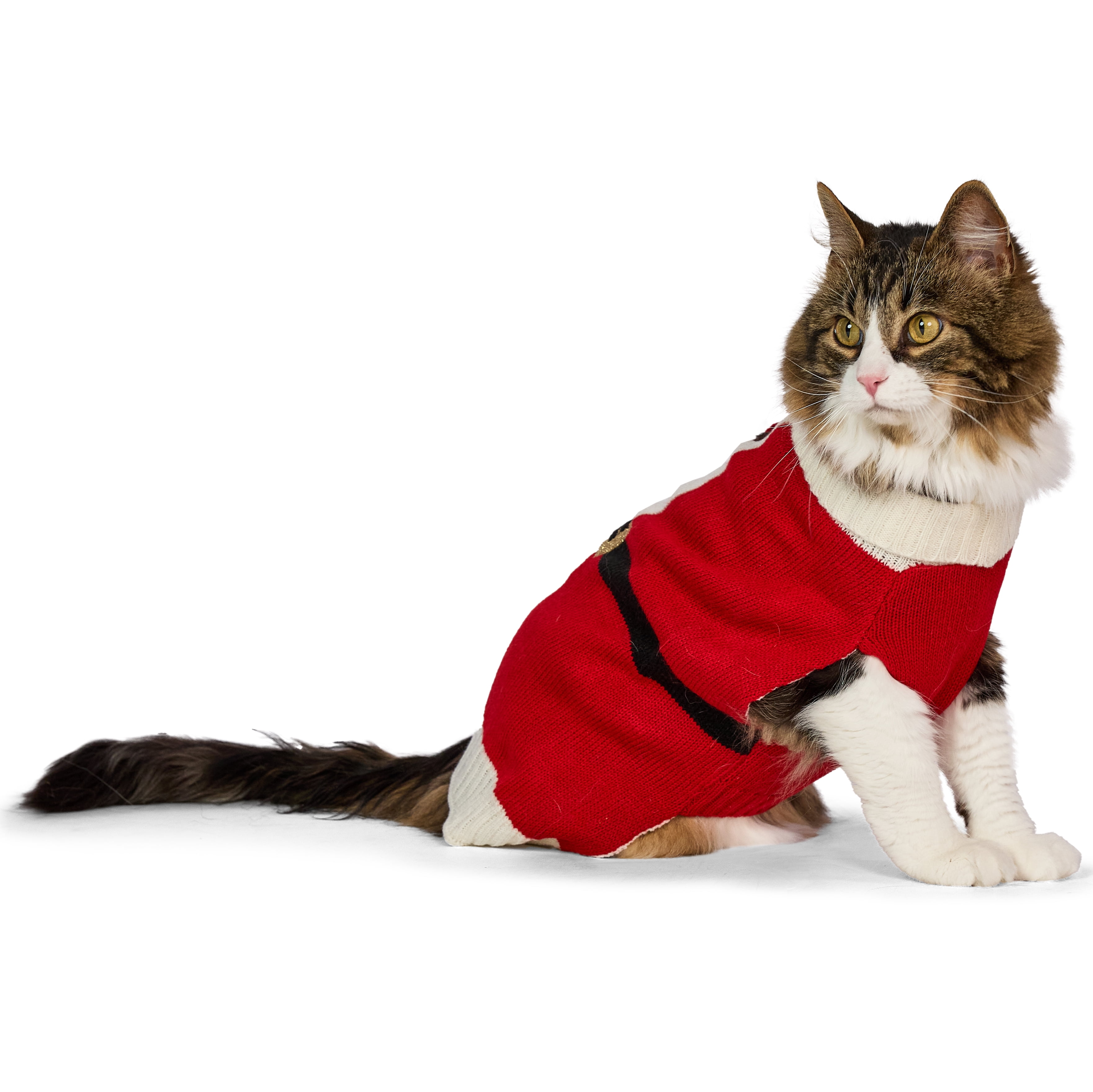 Vibrant Life Holiday Pet Sweater for Cats & Dogs, Santa, Red, Small