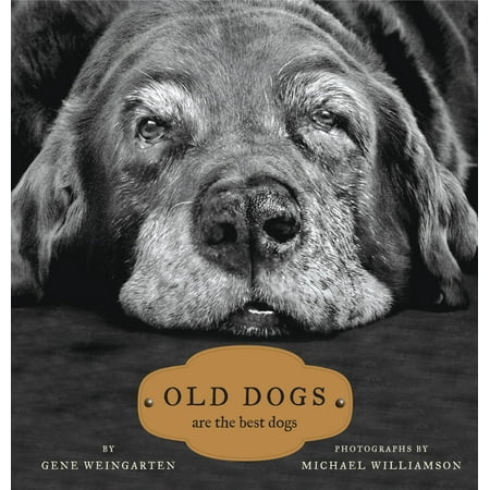Old Dogs : Are the Best Dogs