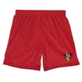 thumbnail image 3 of Harry Potter Gryffindor Crest Mens Lined Mesh Shorts, Red, Medium, 3 of 6