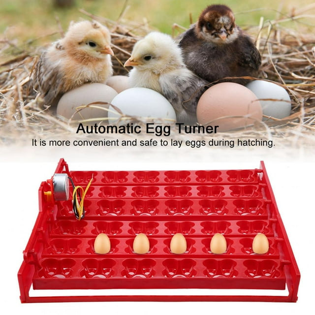 Incubadora de 36 Huevos Herramienta Automática de Bandeja de de para Incubar Pavo Real Pollo Pato Faisán Codorniz 36 Huevos de Ganso 72 Huevos de Paloma y 144 Huevos de ANGGREK Otros
