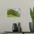 thumbnail image 3 of Great BIG Canvas Photography, 3 of 7
