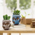 thumbnail image 4 of Succulent Planter, 3.2 Inch Ceramic Owl Small Pots, Ceramic Pots For Plants, Pack Of 6, Plants Not Included, 4 of 4