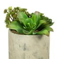 thumbnail image 4 of Vickerman 8" Artificial Succulent Arrangement., 4 of 8