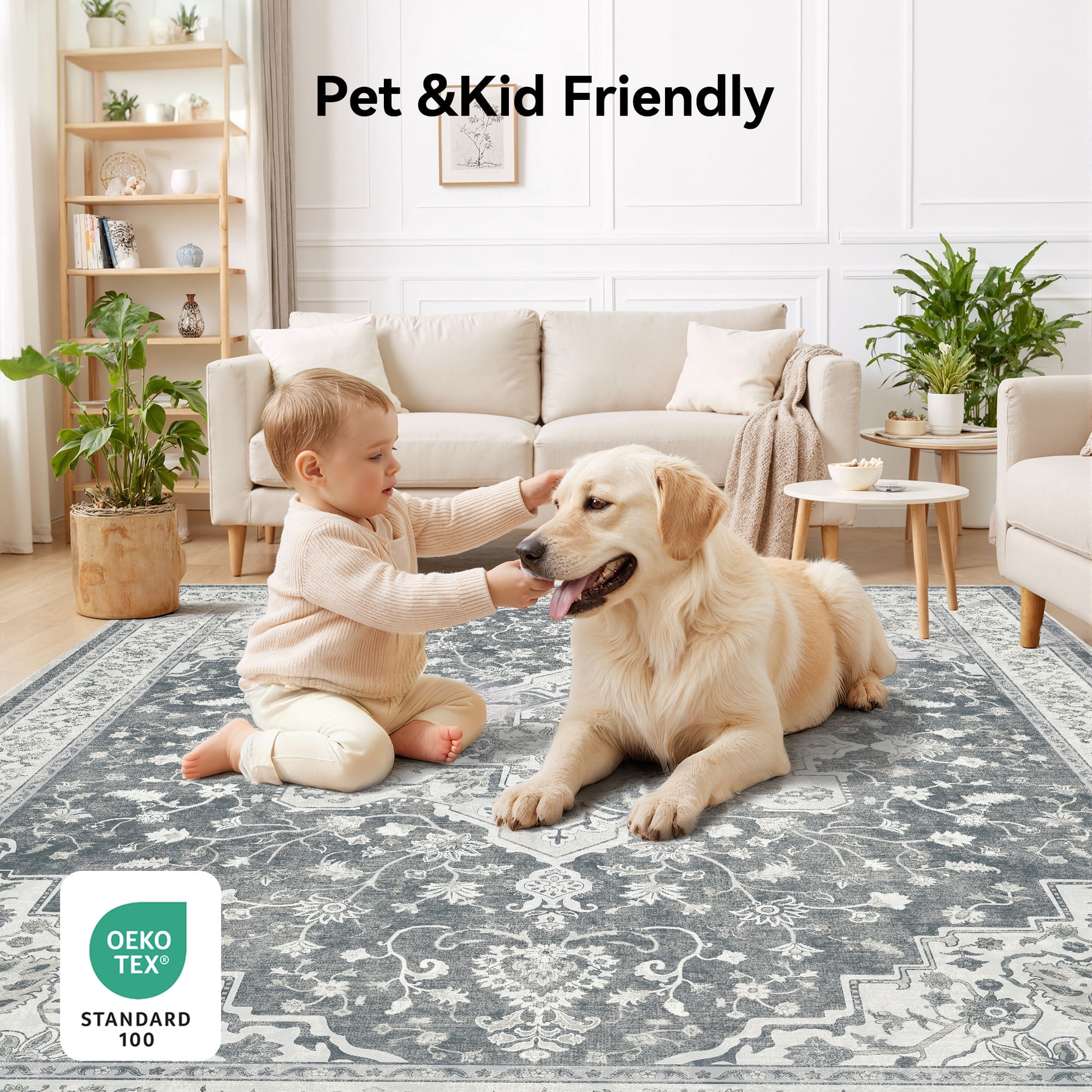 CHITOOMA 8'x10' Area Rugs for Living Room, Washable Rugs Vintage Soft Living Room Rug for Bedroom Dining Room Dorm Office with Non-Slip Backing, Stain Resistant Non-Shed Carpet