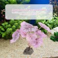 thumbnail image 4 of unbranded Planta Artificial Violet Para Pecera Decorativa Y Fácil De Mantener, 4 of 8
