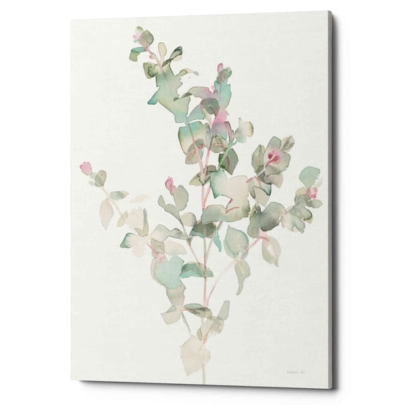 Epic Graffiti 'Eucalyptus II White' by Danhui Nai, Giclee Canvas Wall Art - Green 12" x 16"