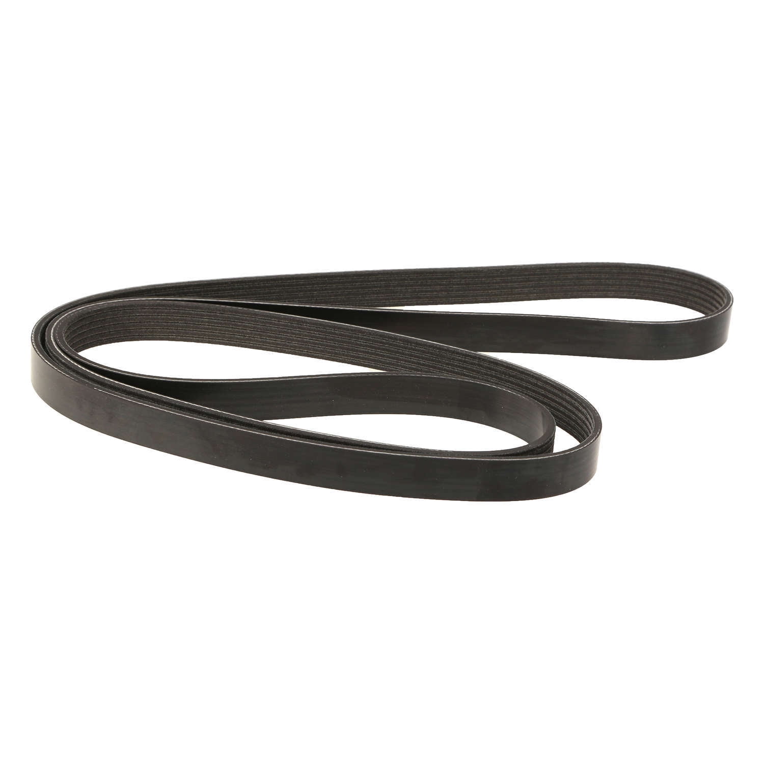 dayco poly rib belt