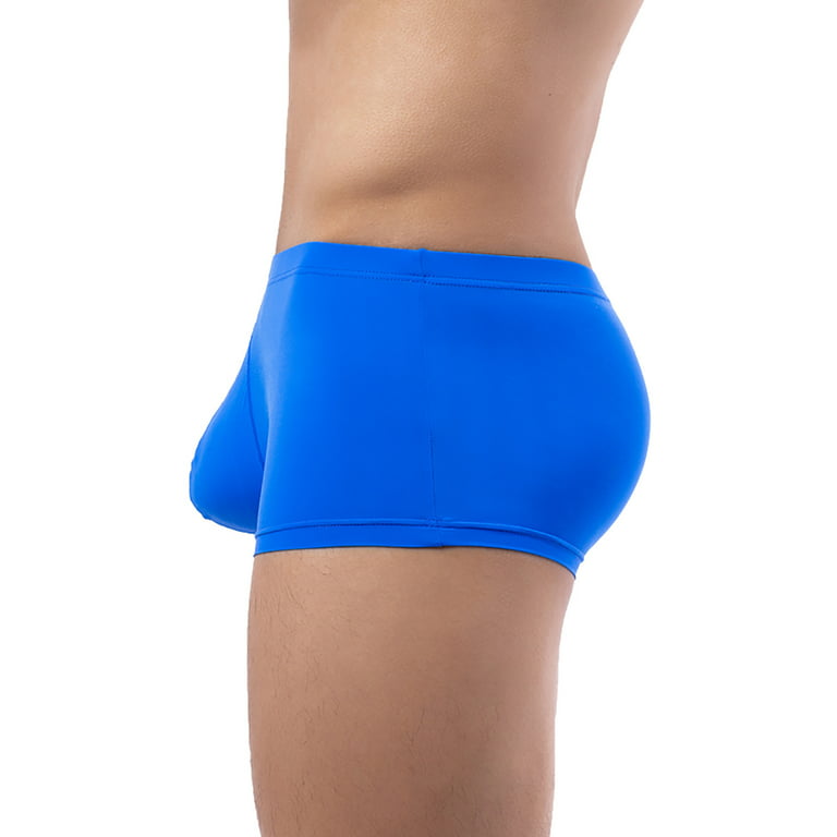 HAOTAGS Men's Underwear Boxer Briefs Breathable Regular Mens Boxer Briefs  Underwear Men Pack Blue Size L 