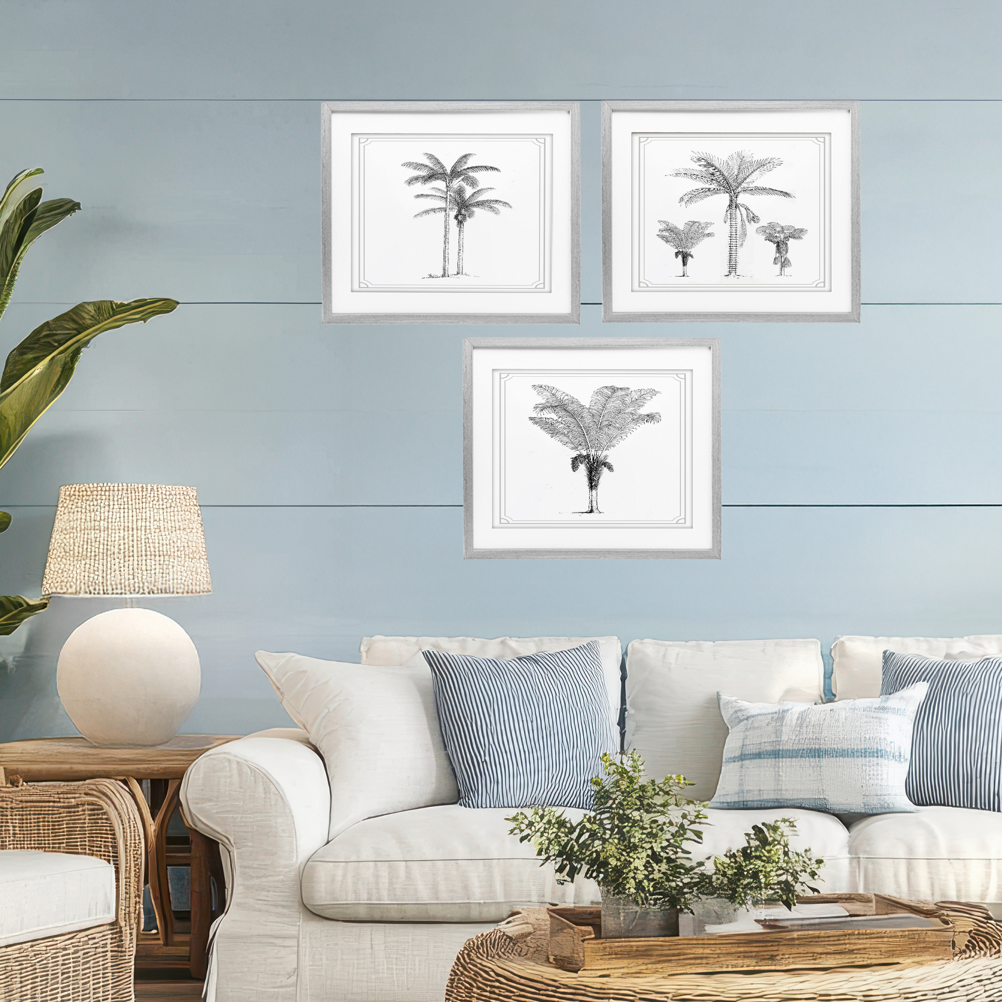 Minimal Vintage Palm Tree Sketches 3 Piece Gray Framed Print Under Glass Set, design by Lettered and Lined