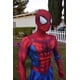 thumbnail image 2 of El increíble disfraz de superhéroe de Spiderman, disfraces con estampado 3D, traje Zentai, monos de fiesta de Halloween xuanjing unisex, 2 of 2