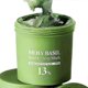 thumbnail image 1 of Holy Basil Bubble Deep Mask Holy Basil & Carbonated Water for Cleansing Pores & Blackheads, Clay to Bubble Wash-Off Pack, Gentle Formula 26s, 1 of 5