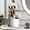 White, variant on Bxaolu Makeup Brush Holder with Lid 360 Rotating Makeup Brush Organizer, Dustproof Waterproof with 3 Compartments for Organized Storage, Dressing Tables Clear Storage Skincare Cosmetic