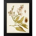 thumbnail image 2 of Vision Studio 19x24 Black Modern Framed Museum Art Print Titled - Vintage Charm IV, 2 of 5