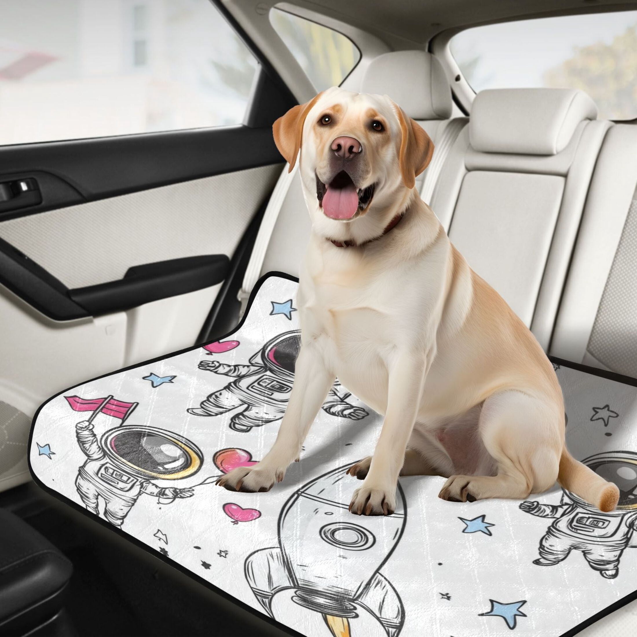 Washable Pet Pee Pads with Super Absorbent Reusable Training Pads for Dogs & Cats Cute Astronaut Clipart