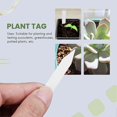 thumbnail image 5 of 500 Pcs Reusable Pvc Plant Tag Label Tree Fruit Seedling Garden Flowerpot Plastic Label Sorting Too, 5 of 5