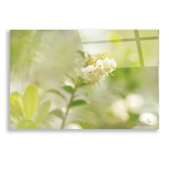 Epic Art 'Lingonberry' by Martin Podt, Acrylic Glass Wall Art, 24"x16"