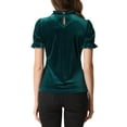 thumbnail image 3 of INSPIRE CHIC Chemise à Col à Volants pour Femmes, Manches Courtes, Hauts en Velours, Blouse, L Bleu Vert, 3 of 6