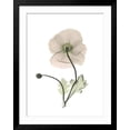 thumbnail image 2 of Art.com Iceland Poppy Portrait 1 Premium Giclee Print by Albert Koetsier, Black Frame Wall Art, 32" x 40", 2 of 5