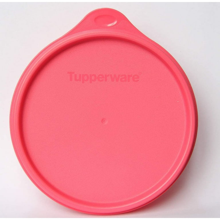 Set of 3 Tupperware 1-1/4 Cup Storage Container With Lid #2087A +