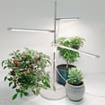 thumbnail image 4 of 10W LED Grow Light Full Spectrum Plant Growth Light Height Adjustable Dimmable Growing Lamp With Timer For Indoor Plants, 4 of 6