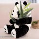 thumbnail image 2 of Cute Panda Doll Plush Toy Large Rag Doll Cartoon Black And White Panda Doll, 2 of 5