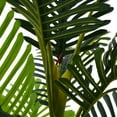 thumbnail image 5 of Christopher Knight Home 61" Artificial Palm Tree in Black Plastic Pot, Pre-Potted Faux Greenery Tree for Home Decor (Set of 2), 5 of 10