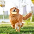 thumbnail image 4 of Juguete interactivo para masticar mascotas Fiudx para perros y gatos, 4 of 6
