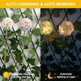 thumbnail image 4 of Luces solares de flores decorativas para exteriores, luces solares impermeables de crisantemo para exteriores, 4 of 5
