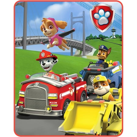 Paw Patrol Pups In Motion Silk Touch Throw, 1 Each