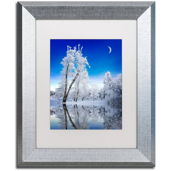 Trademark Fine Art "Emotive Ballad Canvas Art" Canvas Art by Philippe Sainte-Laudy, White Matte, Silver Frame