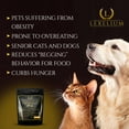 thumbnail image 4 of Lexelium Organic Weight Management Supplement for Cats & Dogs | 100% Natural Pet Supplement Powder | Helps with Weight Loss & Curbing Appetite | Keeps Cats and Dogs from Overeating | 200 Grams, 4 of 6